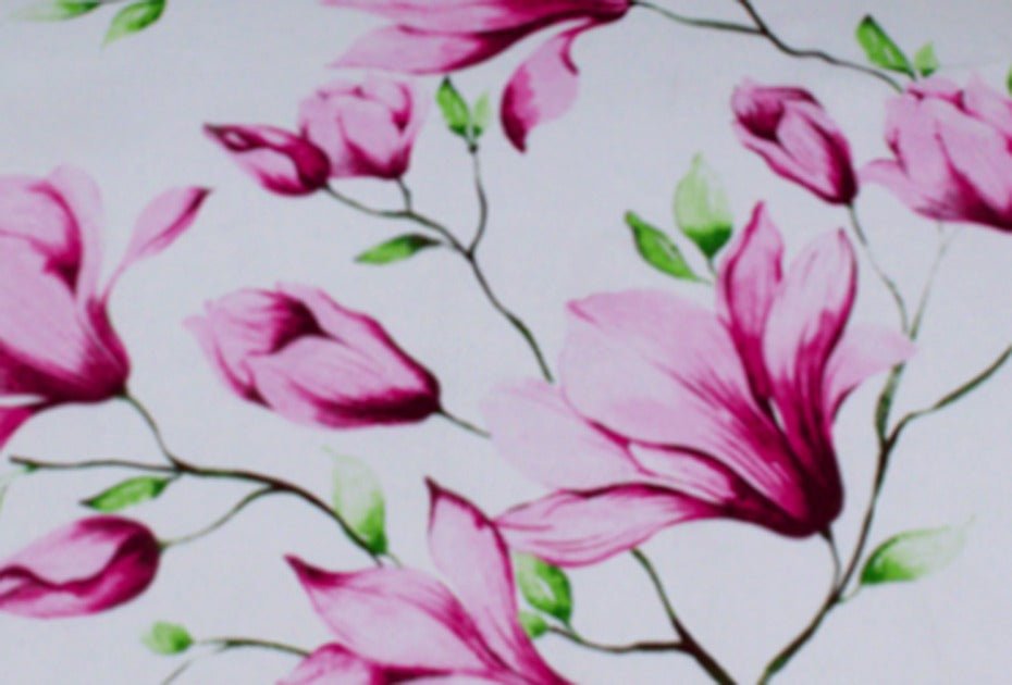 2 Pcs Printed Bed Sheet MHS - 1019 - myhomestyle.pk