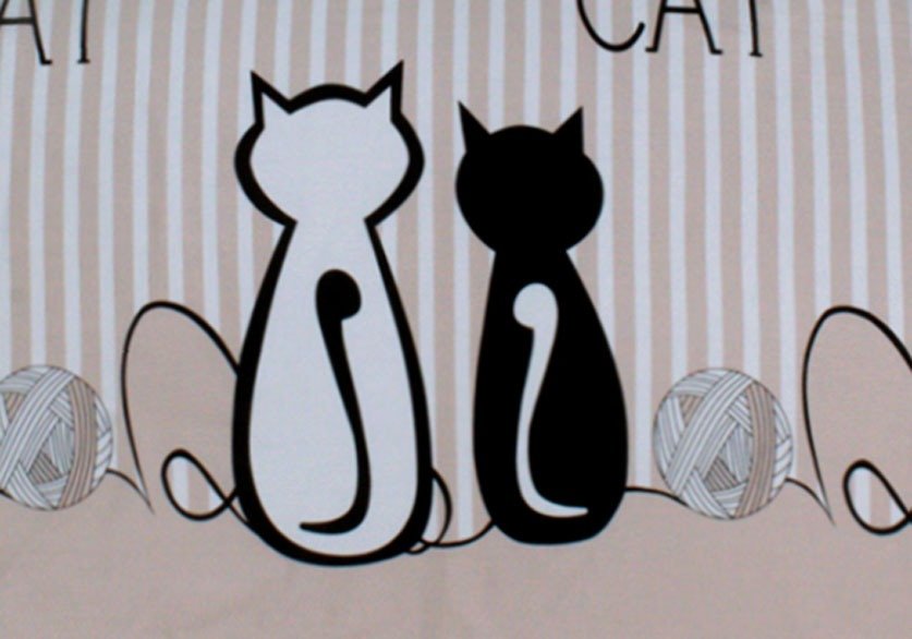2 Pcs Printed Bed Sheet MHS - 1032 - myhomestyle.pk