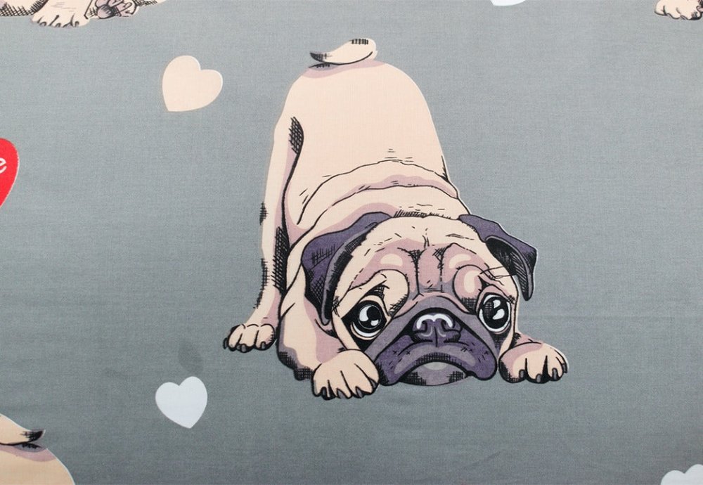 2 Pcs Printed Bed Sheet MHS - 870 - myhomestyle.pk