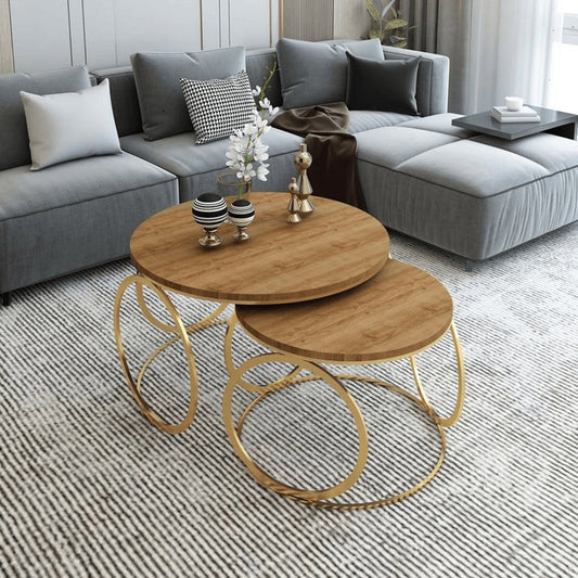 Set of 2 Modern Round Nesting Coffee Table Set - 1387 - myhomestyle.pk