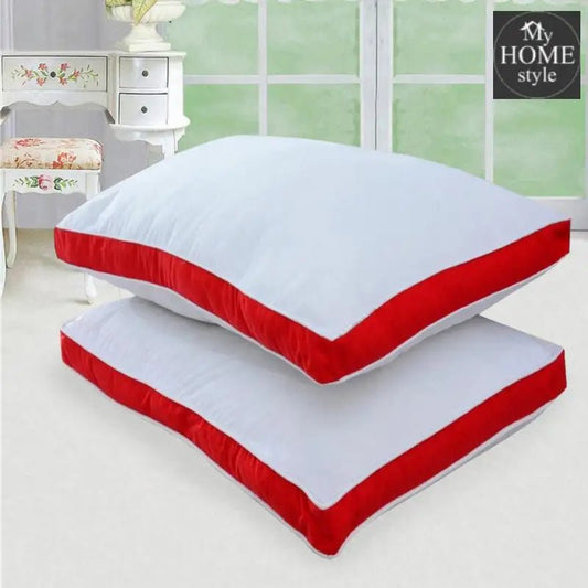 Two Filled Pillows - 06 - myhomestyle.pk