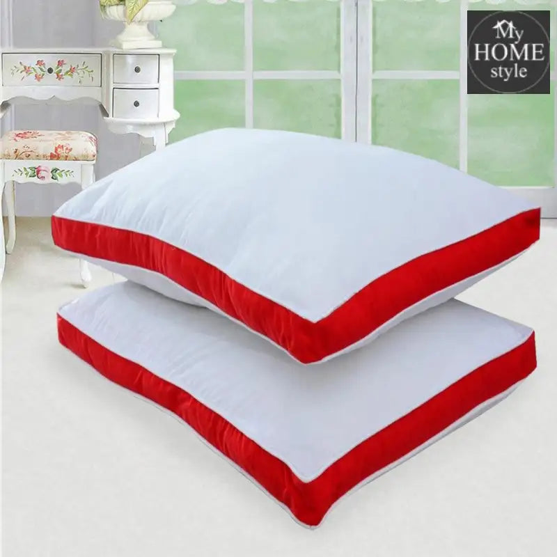 Two Filled Pillows-06 - myhomestyle.pk